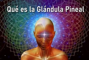 4.2K views · 118 reactions | ¿Quieres activar todo tu potencial y...