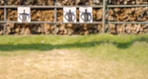 5 Great Guns to Buy While They're on Sale