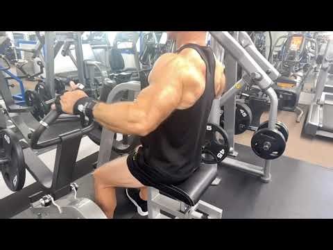 Back Vertical Seated Row Machine (Both Grips)