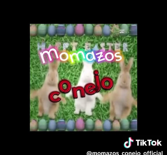 MOMAZOS CONEJO ⚡⚡🔥🔥🔥🐇🐇