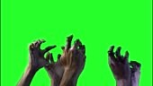zombie hand on a green background on Halloween