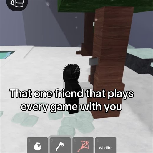 Minecraft Gaming Adventures with Friends