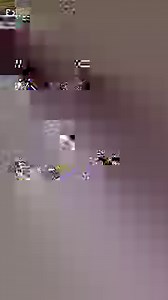 3.7M views · 6.6K shares | "Please do not come through our window." A Maggie Valley family had a close encounter with some elk at their house. Send us your wildlife photos and videos here: https://wlos.com/chimein | WLOS ABC 13 | Facebook