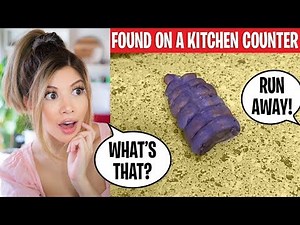 Weirdest Finds with Hidden Uses Only The Internet Can Explain