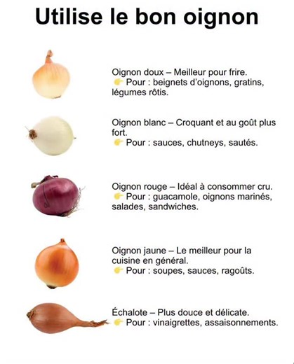 227K views · 241 reactions | ✨ Choisissez le bon oignon ✨ 暈 Oignon...