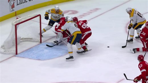 Predators at Red Wings 12.29.23