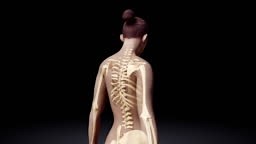 A young female rotating around herself. Visible upper body skeleton...