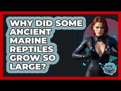 Why Did Some Ancient Marine Reptiles Grow So Large? - The Marine Life Explorer
