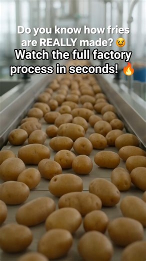 Chips you eat daily… but have you seen this? 😱Real factory process inside! 🏭