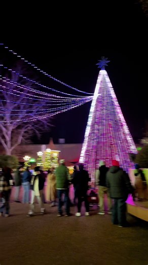 Hanging out with the grand kids at bush gardens this weekend, had an absolute blast!!