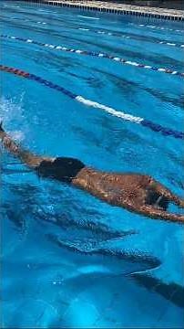 How to Dive in a Swimming Pool in 3 esy posithons Steps