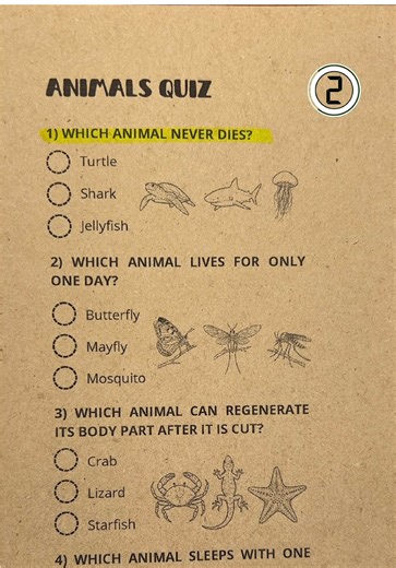 core___quiz (@core___quiz)’s videos with original sound - core___quiz