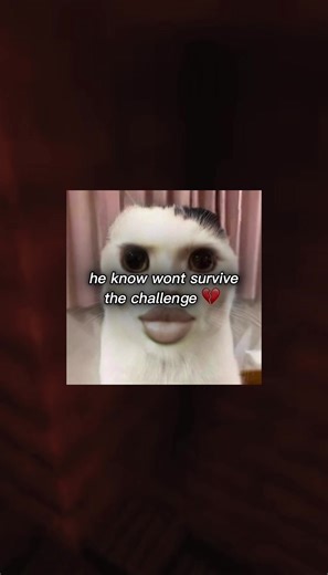 Stream Highlights (@therealhighlights2)’s videos with original sound - Stream Highlights