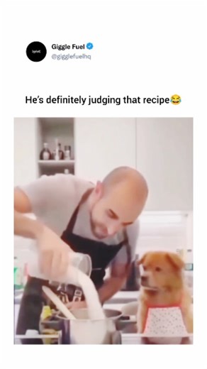 Giggle Fuel on Instagram: "In the video, a man wearing a black apron is seen cooking in a kitchen, pouring a white liquid from a glass into a pot. Standing right next to him on the counter is a fluffy, brown dog also wearing a small, patterned apron. As the man tastes the food and looks thoughtfully at the pot, the dog mimics his behavior by looking up and around with a very serious and judgmental expression, as if it is an expert chef supervising the meal. The dog’s focused gaze and slightly op