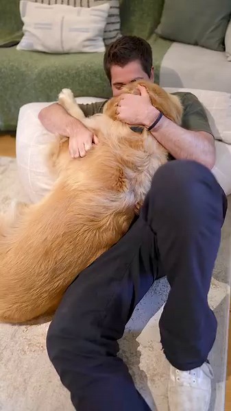 1M views · 103K reactions | The reason Gary iz always ‘busy’殺 #best #goldenretriever #cuddle | MARLEY NYC | Facebook