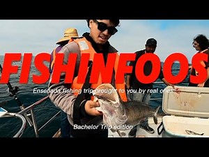 Epic Ensenada Fishing Trip | White Seabass, Bonita, Sculpin & Rockfish
