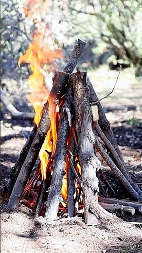 How To Build A Tepee Fire: Easiest Way to Start a Campfire #bushcraft #survival #firestarting