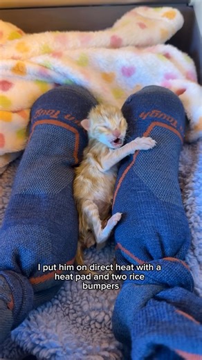 4.5K views | I’m very exhausted, but these are the saves I live for. Please keep String Bean in your thoughts. He is still a tough case and his care is challenging and ongoing, but I feel cautiously optimistic for him! | Wuynh | Facebook