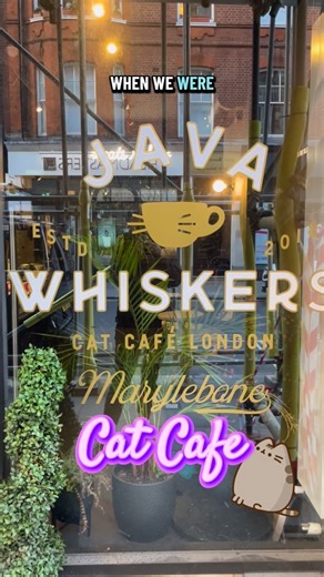 Nienke 🇳🇱📚 bookstagram | Java Whiskers Cat Cafe!🐱 Not really bookrelated, but probably an activity that many booklovers will appreciate: going to a cat cafe! The... | Instagram