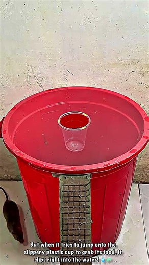 Water Bucket Trap Using Plastic Launcher