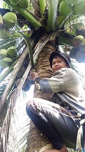 Saka napod mga idol #trabaho #sakalubi #Manakaay #kayodparasapamilya #friendsfollowersviewersnonfollowers | Bonerey Yusorez