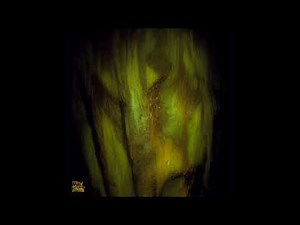 Gamma Intel - Node [NC012]