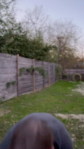 Russell Harvard on Reels