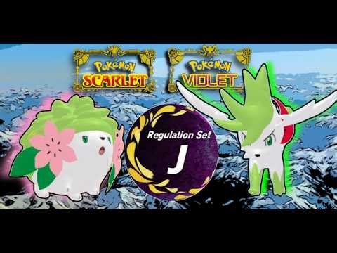 Elevate your Team with Shaymin!