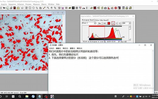 【科研干货】IPP教程视频统计析出相的面积和直径等