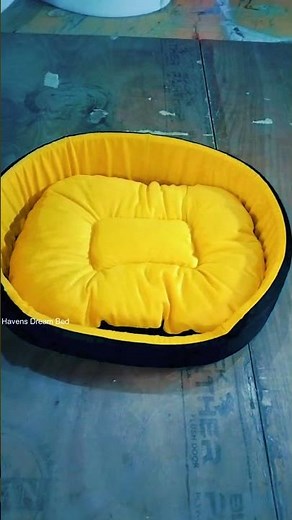 The Ultimate Orthopedic Dog Bed? 🐾 Durability & Comfort Test! #pets #dog #ytshorts
