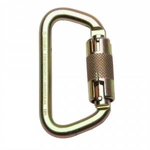 Werner 1/2 in. Carabiner (3600 lbs. Gate) A100301