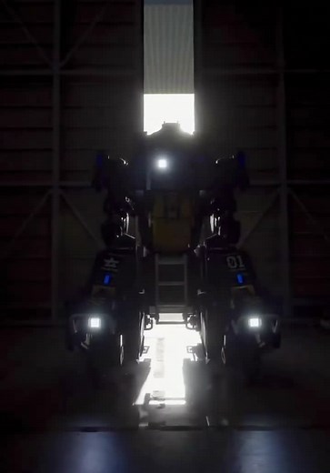 Exploring Neural Drift in Pacific Rim