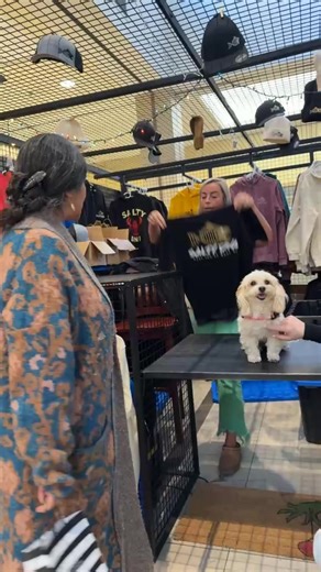 Cory Guimond on Reels