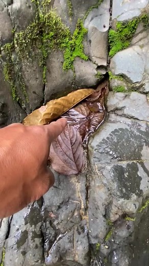 7K views · 91 reactions | gold is a valuable heavy object,!!! of course the small holes at the bottom of the river were filled with gold!! look at this hole! #fypviral #goldtreasure#adesgoldhunter | Novanna8 | Facebook