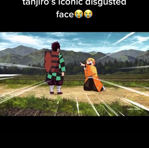 not expert on TikTok