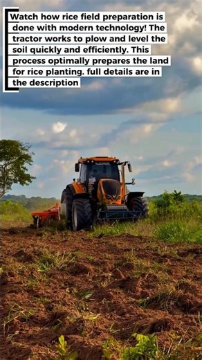 Modern Rice Field Preparation: High Efficiency with Tractors