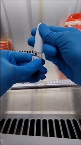 API 20strep kit #microbiology #bacteria #identification