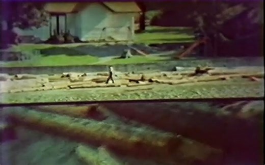 【实验短片】Splitstream - Stephen X. Arthur | 主观视角镜头与广角镜头的分屏同步实验