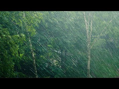 Soothing rain sounds in hitting clay jars with distant thunder. Great for relaxing and deep sleep.