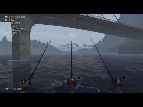 How to catch Atlantic Cod at Skårland Fjord