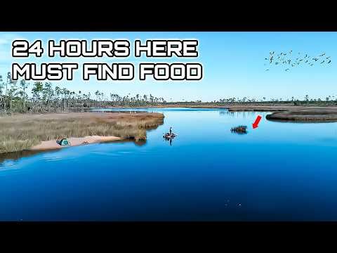 24 HOURS Searching Florida's HIDDEN Marshes for our DINNER!! **MUST FIND FOOD**