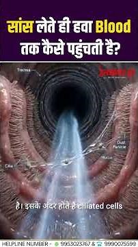 सांस लेते ही हवा Blood तक कैसे पहुंचती है? | Body में Oxygen का पूरा सफर