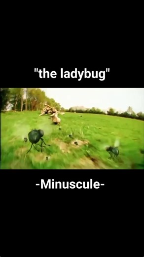#VOD #minuscule #movies #series #ladybug #funny #animation #viral #fyp #trending #foryou #digitalcreators #semuaorang #love #family #sorotanpublik #masukberanda | Kang Rahmat