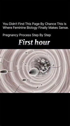 Periods | Hormones | Fertility on Instagram: "Fertilization – Life Begins When sperm meets egg, a single cell is formed called a zygote. This tiny cell already carries your baby’s eye color, height, and gender information! 🧬 2️⃣ Implantation – Home is Set The zygote travels into the uterus and attaches itself to the uterine wall. This is where pregnancy officially starts. The placenta begins to form to supply oxygen and nutrients. 3️⃣ Embryo Stage (Week 3–8) The baby’s brain, heart, spinal cord