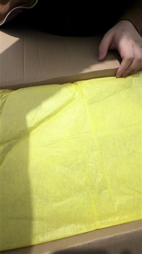 Tripod Troubles: How to Handle a Broken Tripod