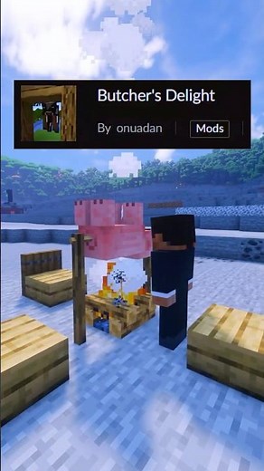 This mod lets you be a BUTCHER in Minecraft