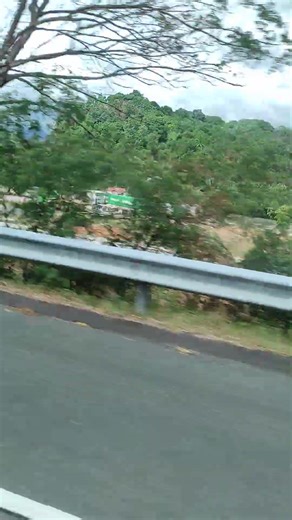 6 20ft evergreen container and 1 cronos and msc reefer container van