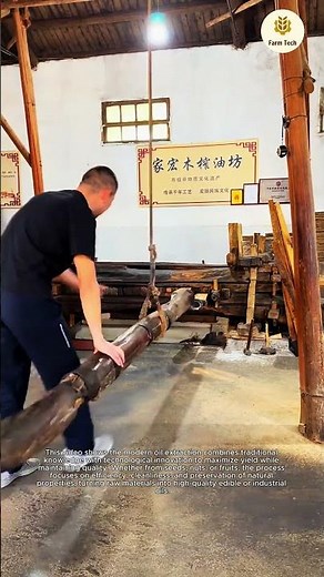 The process of Efficient Oil Extraction Methods for Improved Technology