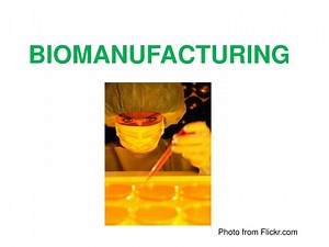 PPT - BIOMANUFACTURING PowerPoint Presentation, free download - ID:9585489