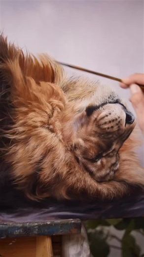 It’s here! Limited edition print of my lazy lion has dropped. Available until September 14. Comment “PRINT” for the link to check it out. #fulltimeartist #wildlifeartist #wildlifeart #realisticpainting #oil_painting #beautifulart #lionpainting @lionwhisperersa @kevinrichardsonfoundation #limitededitionprints | Carla Grace Art